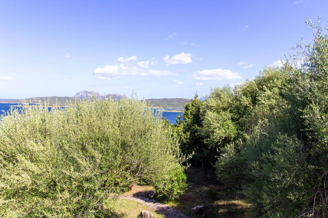 Welcomely - Porto Rotondo Sul Mare *